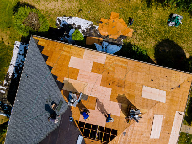 Best Roof Leak Repair  in Waynesboro, GA