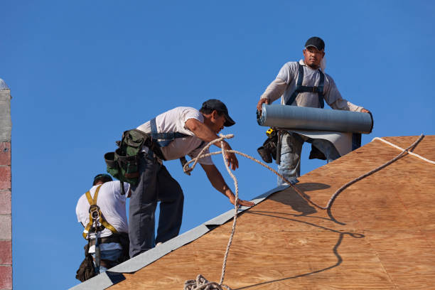 Gutter Installation and Roofing in Waynesboro, GA