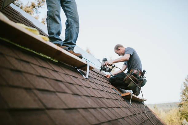 Professional Roofing Contractor in Waynesboro, GA